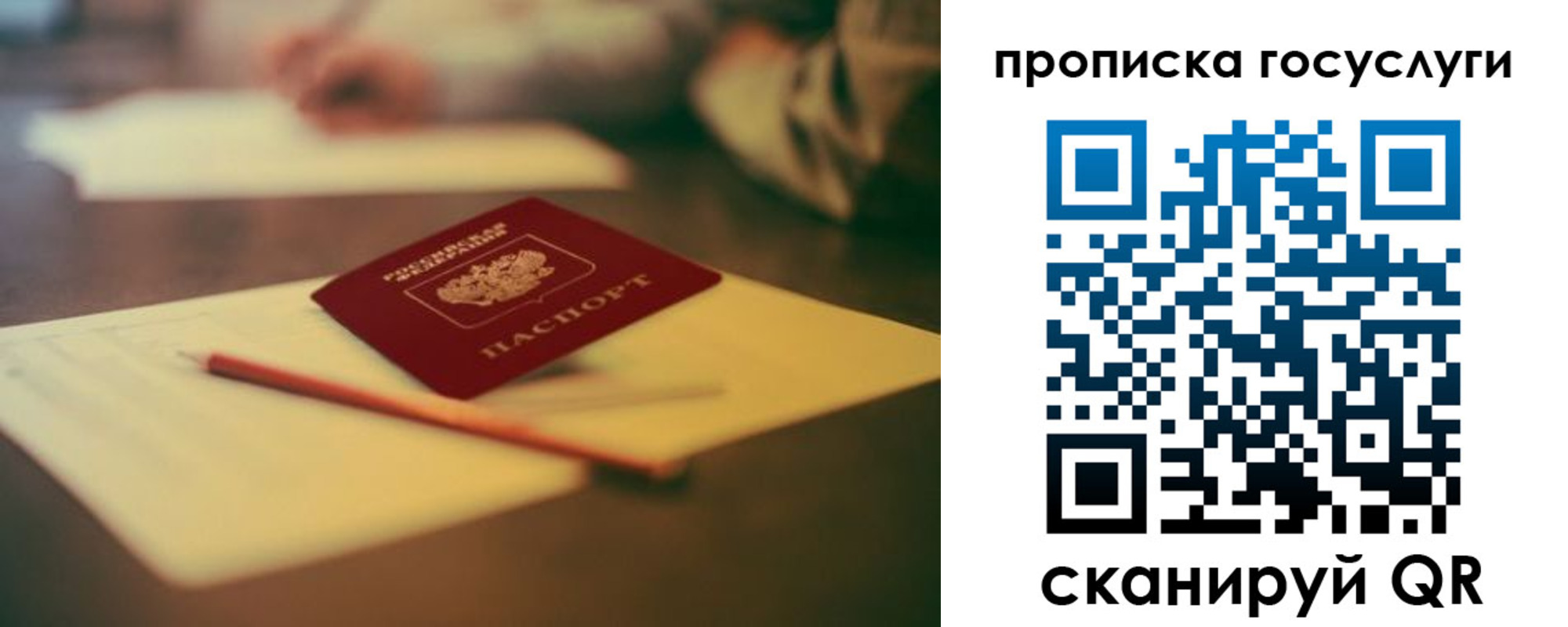 прописка для школы в Плавске